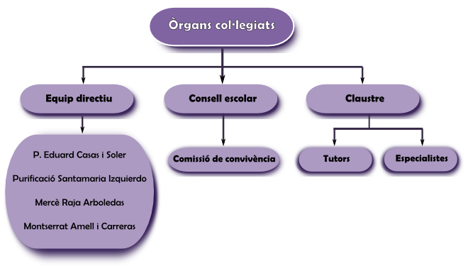 òrgans col·legiats